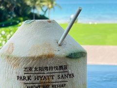 -三亚太阳湾柏悦酒店