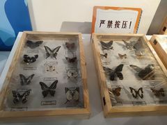-浙江自然博物院(杭州馆)