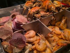 -视界美食自助餐厅·石家庄希尔顿酒店