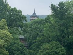 -灵谷景区