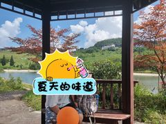 -玉舍国家森林公园