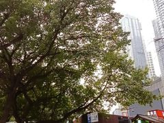 -日月光中心广场