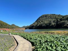 -广州市石门国家森林公园