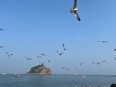 -棒棰岛宾馆景区