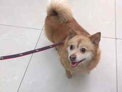 -爱侣宠医·鹦鹉专科·小型哺乳类·异宠专科(灵石路店)