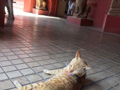 -柬埔寨国家博物馆