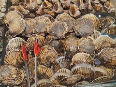 -半岛听涛蒸汽海鲜自助(K11店)