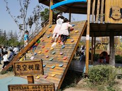 -上海长兴岛郊野公园