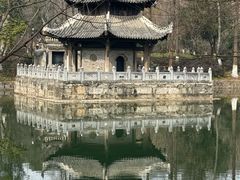 -习家池