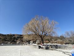 -北京西山国家森林公园