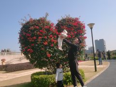 -东莞植物园