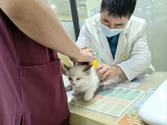 -艾贝尔宠物诊疗