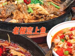 -老板恋上鱼(高新万达店)