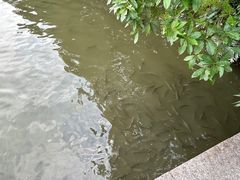 -海珠湖公园