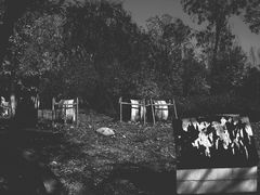 -济南国际园博园