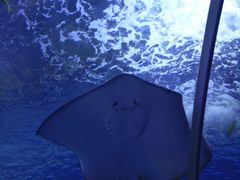 海底走廊-多彩贵州城极地海洋世界