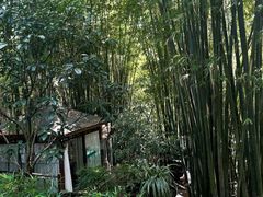 -竹海听涛生态山庄