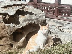 -常熟方塔园