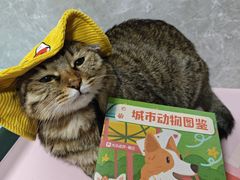 -瑞虹新天地月亮湾