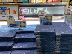 -关西国际机场直营免税店