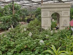 -南宫五洲植物乐园