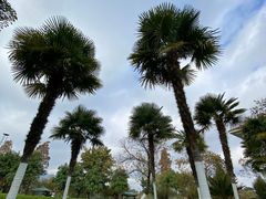 -云南滇池花园国际大酒店温泉