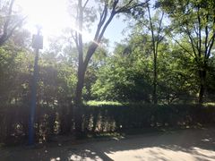 -森林公园(尖草坪区)