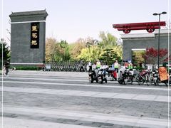 -莲花池公园