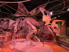 -正佳自然科学博物馆