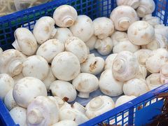 -北京清河镇农副产品交易市场中心