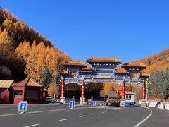 -塞罕坝国家级自然保护区