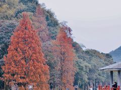 -广州市石门国家森林公园