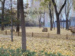 -森林公园(尖草坪区)