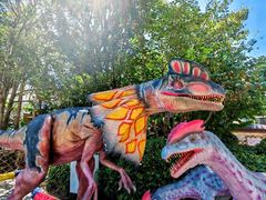 -海合安武汉极地海洋公园