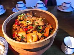 -印象鲵宴·张家界地标美食名片(溪布街店)