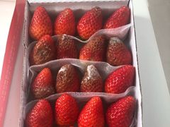 -果蔬好生活超市(乐堤港店)