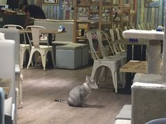 大堂-小时光咖啡馆(开森度假森林店)
