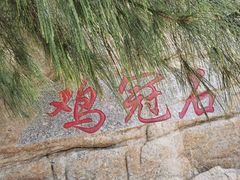 -放鸡岛生态旅游国际度假区