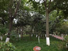 -燕儿岛山公园
