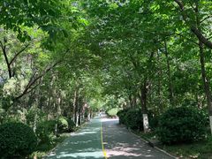 -千佛山风景名胜区