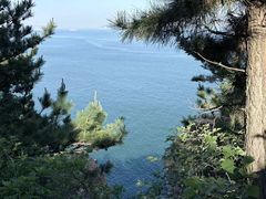 -棒棰岛宾馆景区