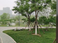 -西海子公园