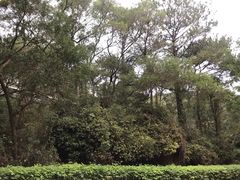 -狐尾山公园