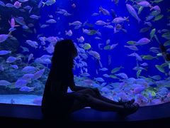 -成都浩海立方海洋公园