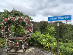 -广州白江湖森林公园