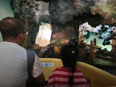 -小熊维尼历险之旅