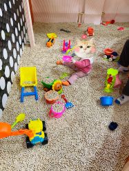 -动力星球家庭亲子游乐中心