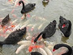 -艾溪湖湿地公园