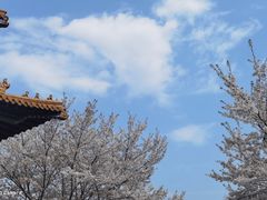 -三国水浒景区(无锡影视基地)