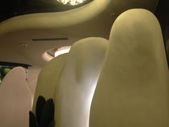-浩海火燒雲傣家菜(静安芮欧店)